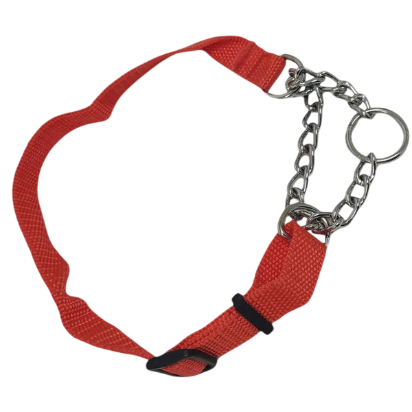 Adjustable Leash and Collar