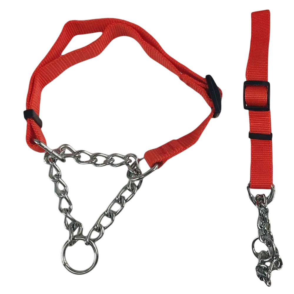 Adjustable Leash and Collar