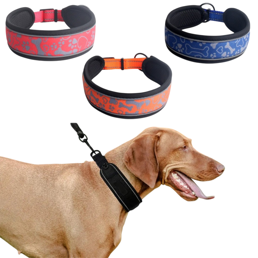 Adjustable Collar with Safety Lock