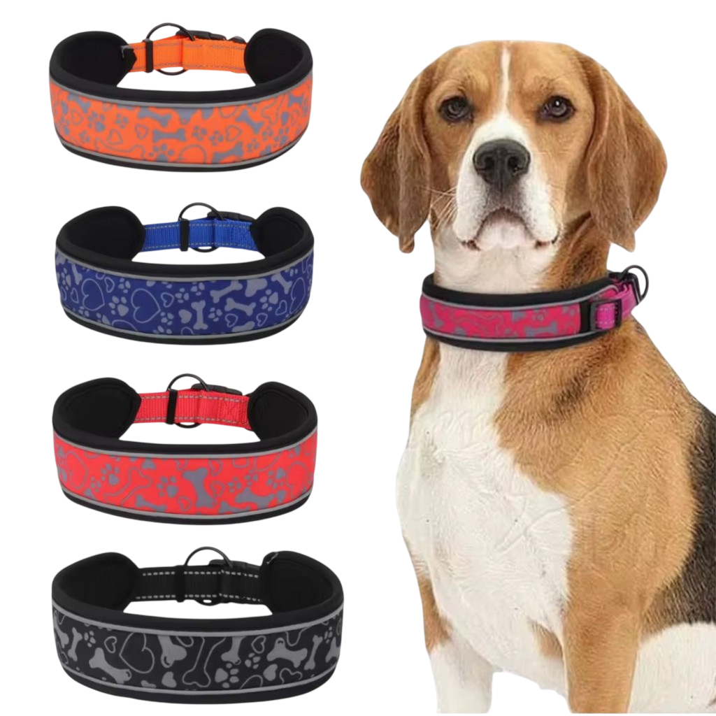 Adjustable Collar with Safety Lock