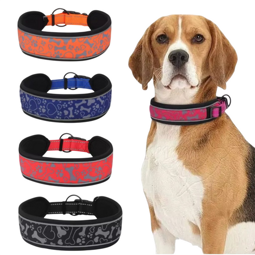 Adjustable Collar with Safety Lock