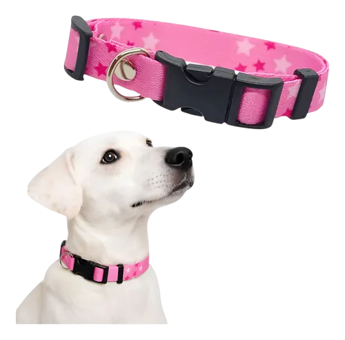 Adjustable Collar for Dogs and Cats